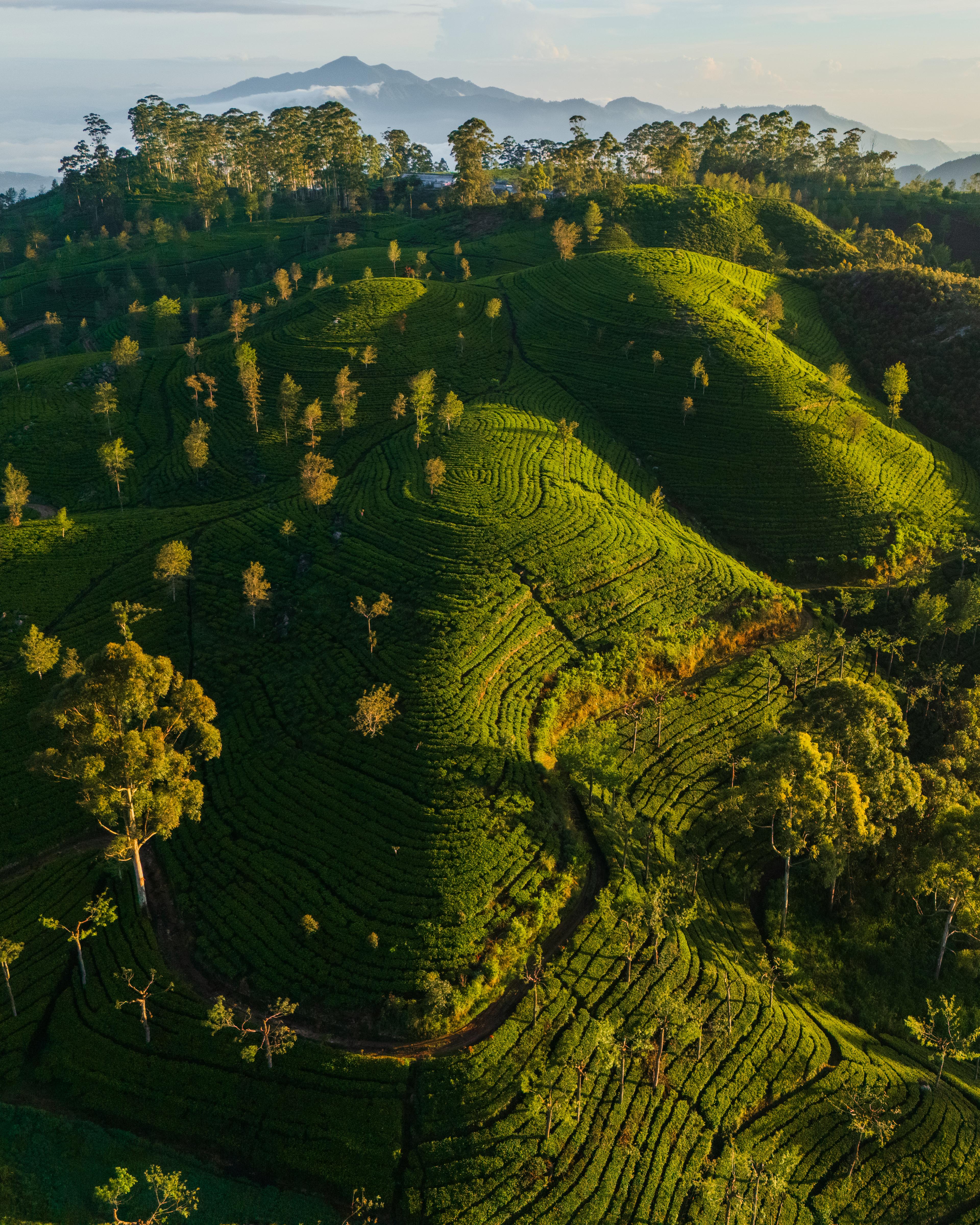 Sri Lanka