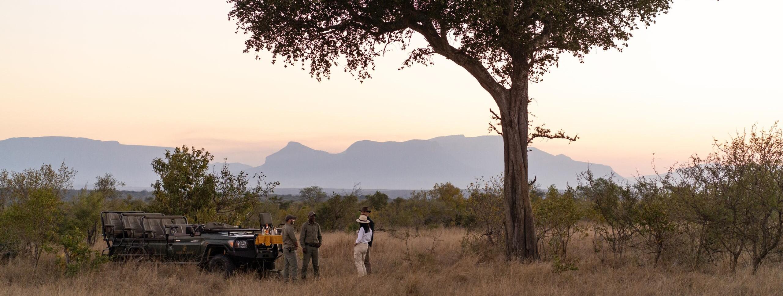 safari