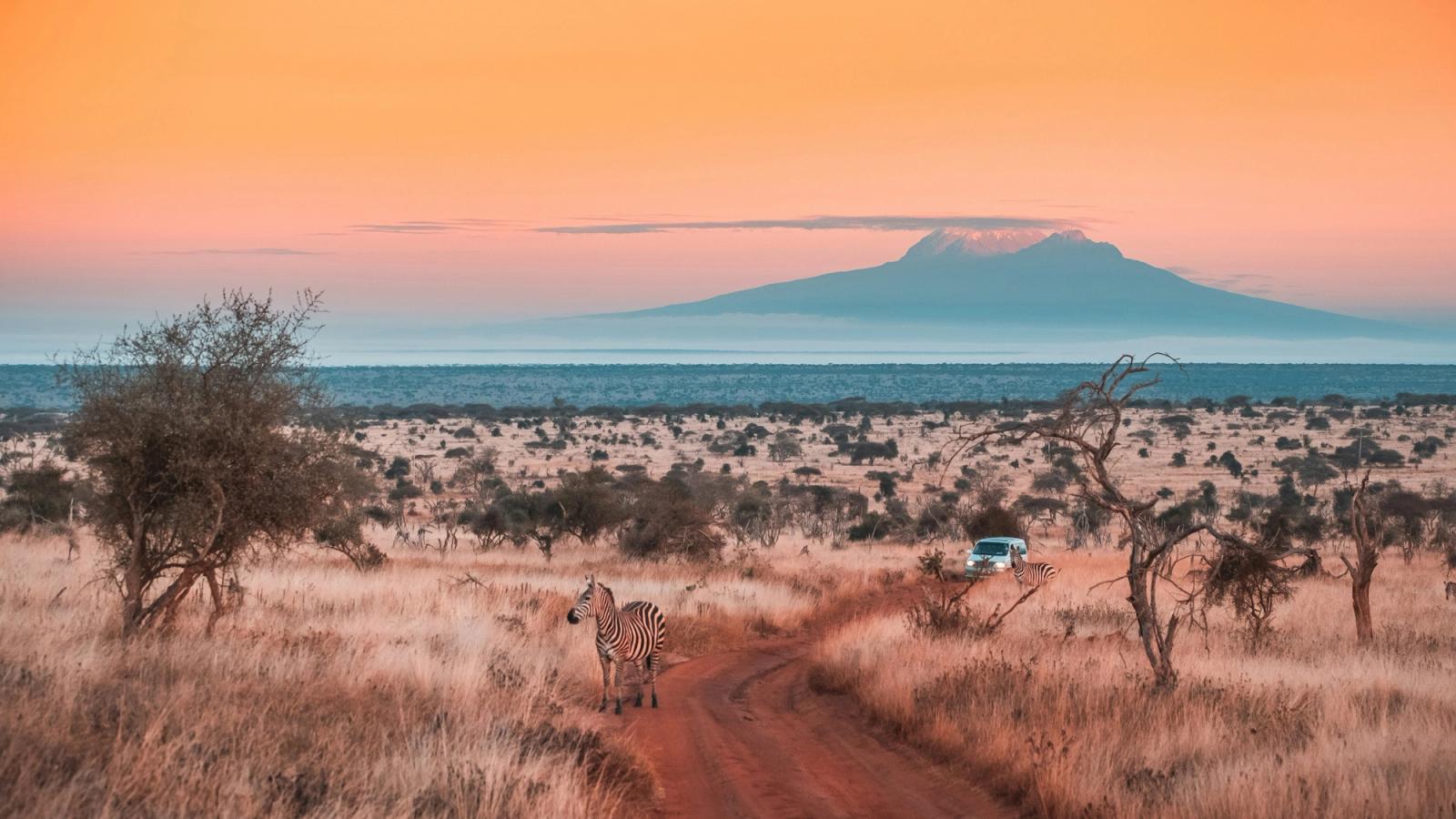 Climb Mount Kilimanjaro