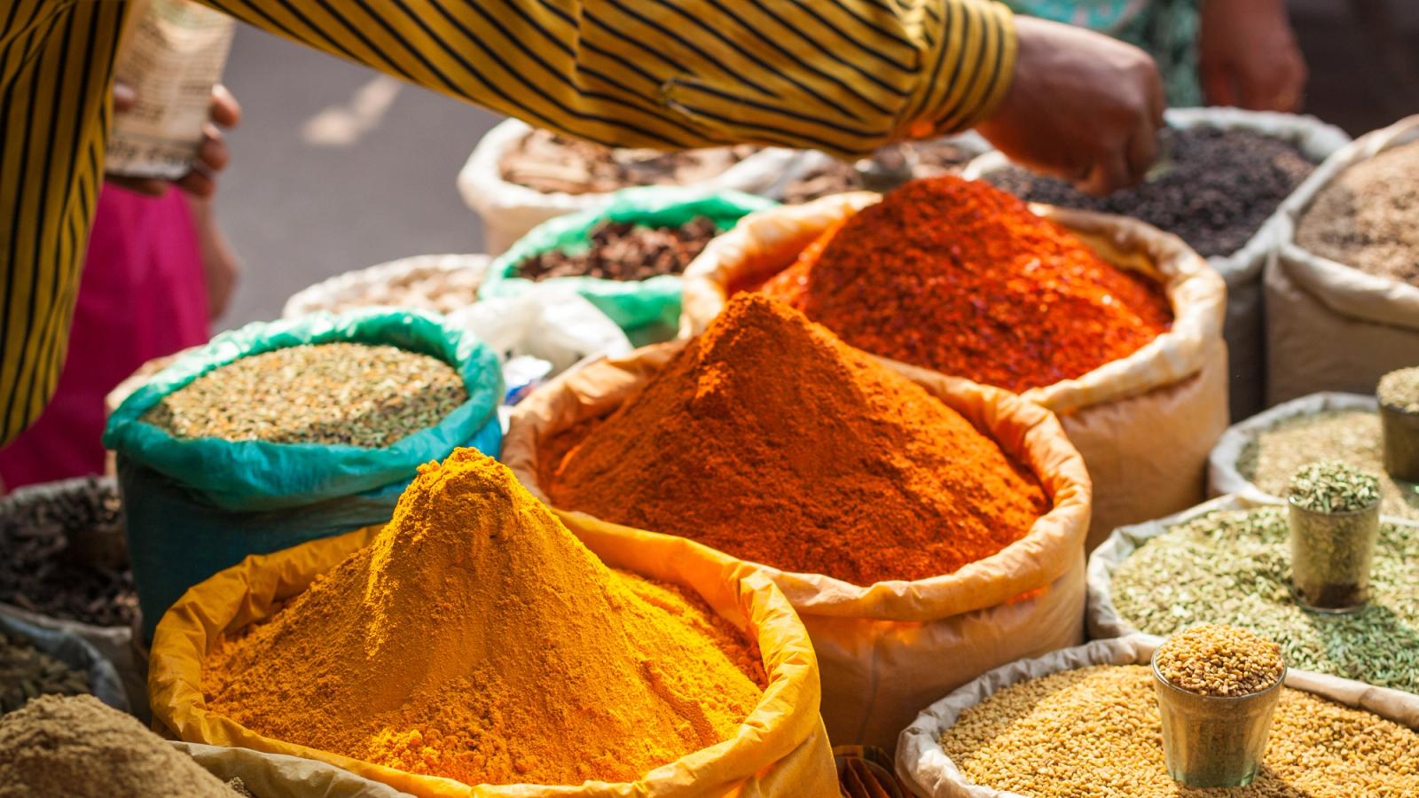 India: A Feast for the Senses