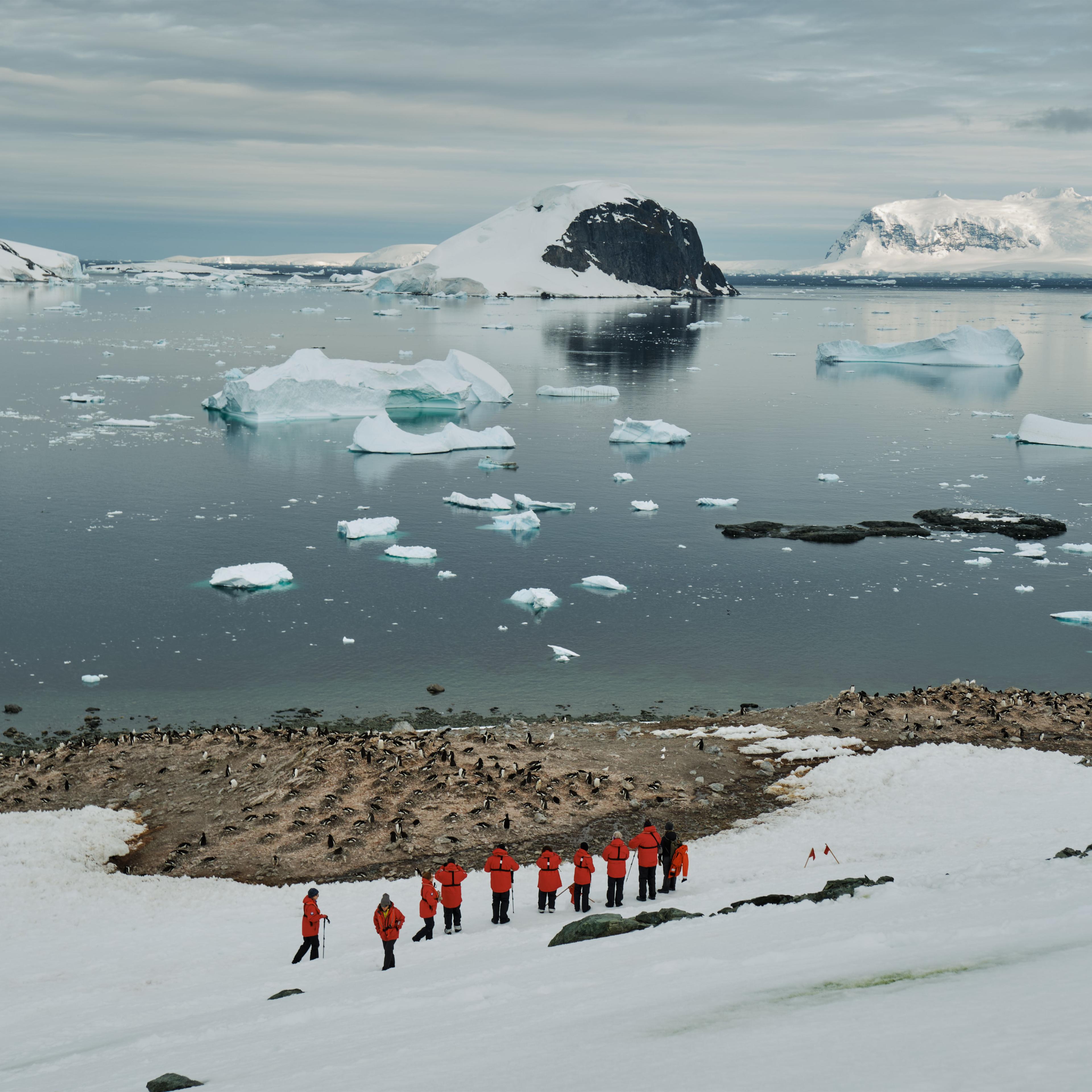 abercrombie kent antarctica arctic