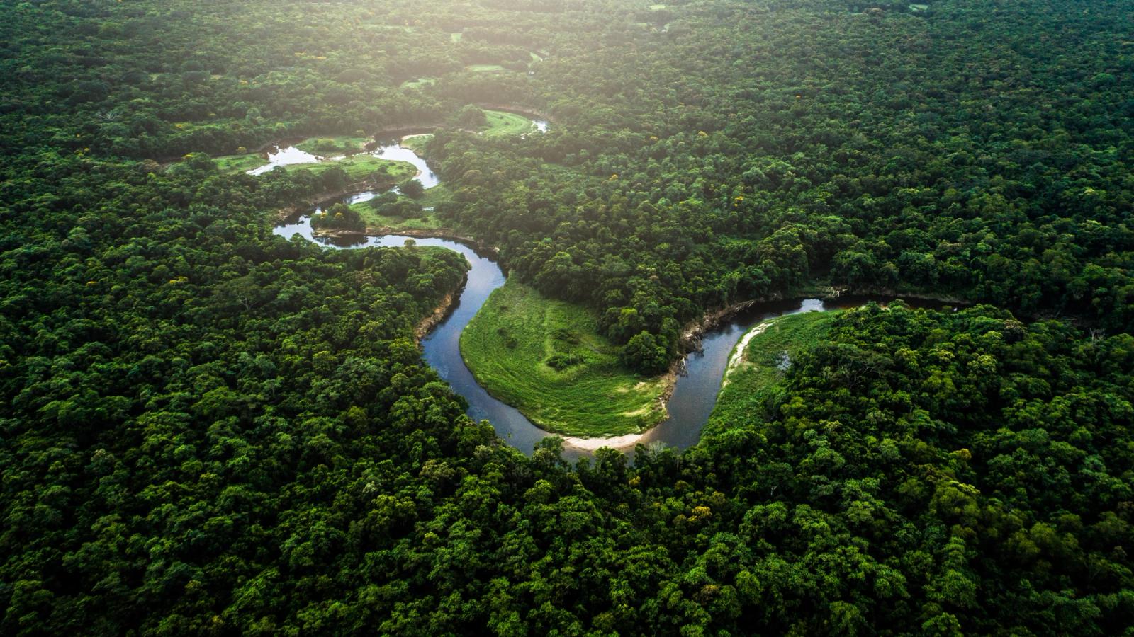 Brazil Wildlife Adventure: the Amazon and Pantanal