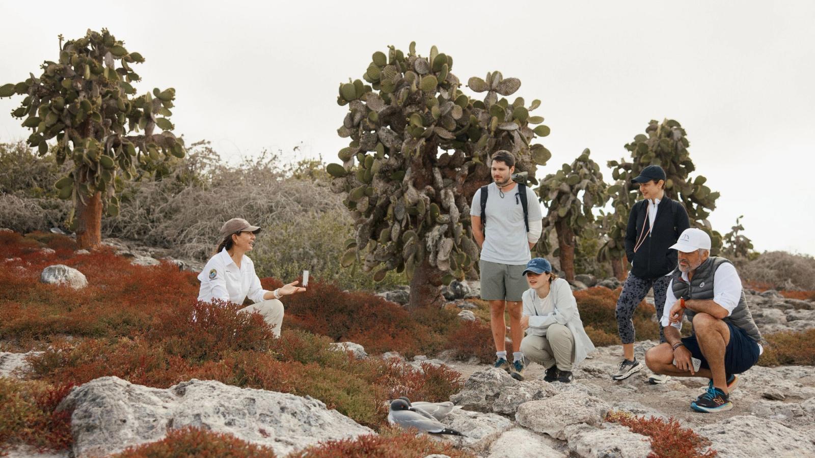 Volcanic Landscapes on a Galápagos Cruise: A Private Journey