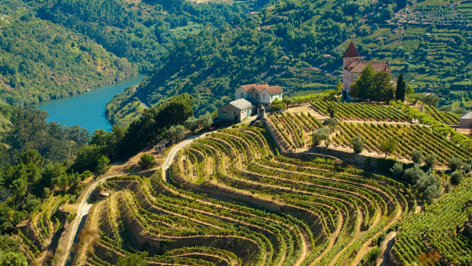 Worldway Travels x A&K x Crystal Cruises: Epicurean Highlights of Western Europe