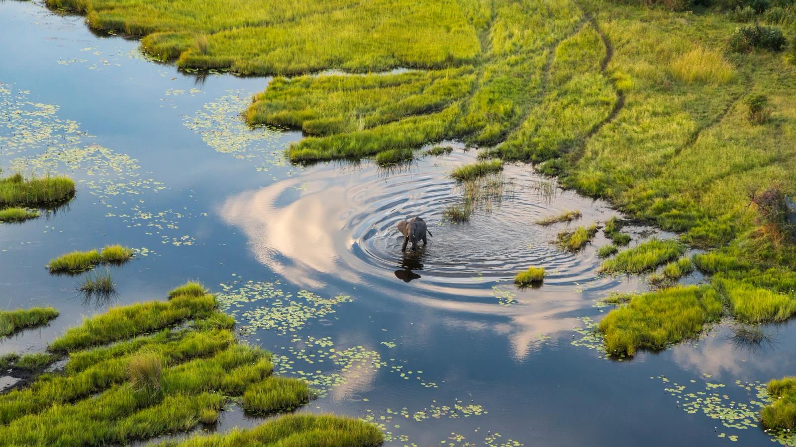 Ultimate Botswana Safari
