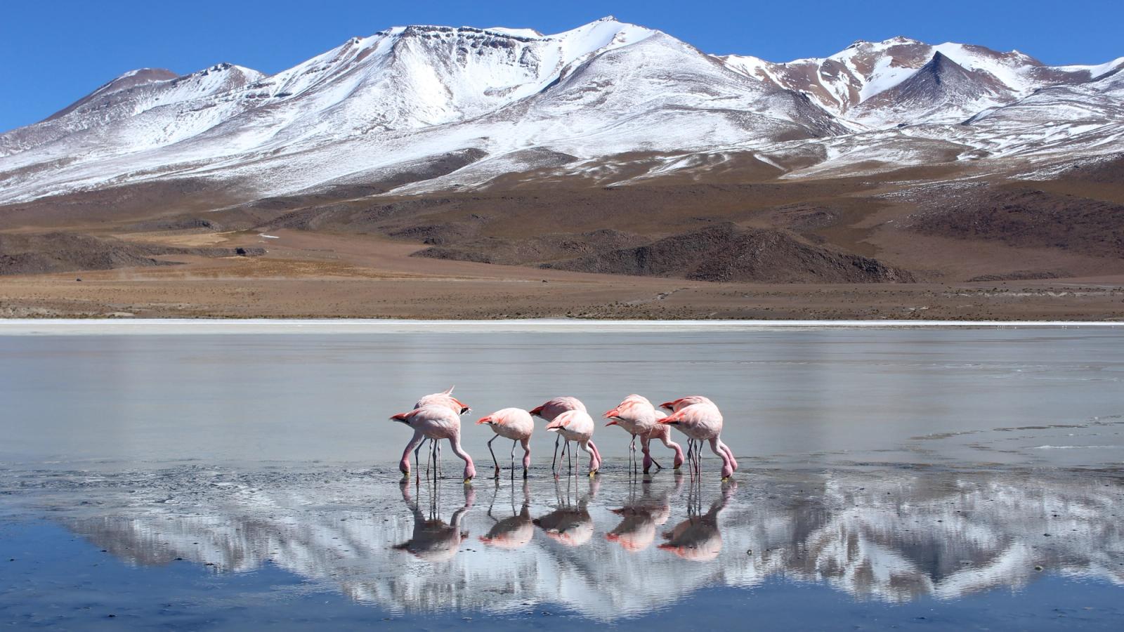 Argentina, Chile and Brazil by Private Jet