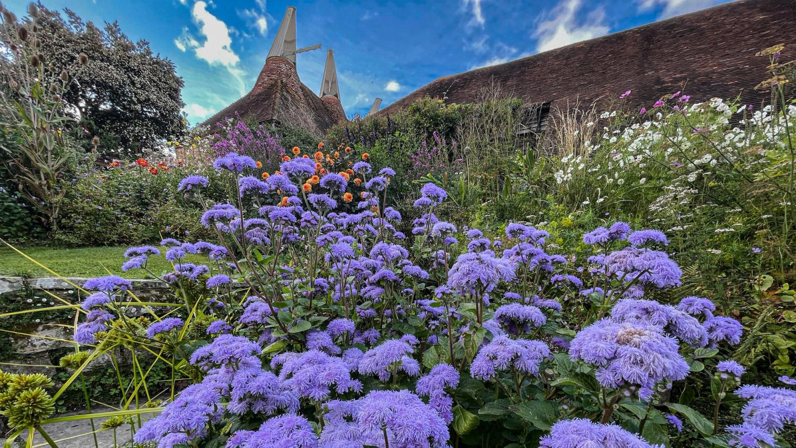 Glorious Gardens of England and Chelsea Flower Show