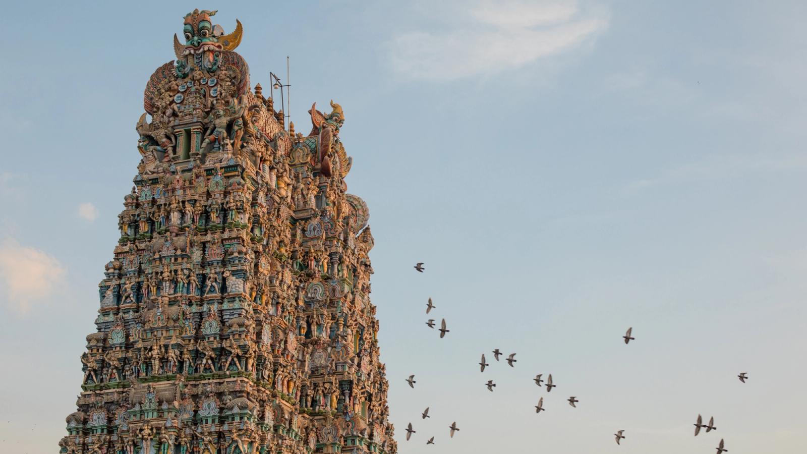 Tamil Nadu: The Soul of Southern India