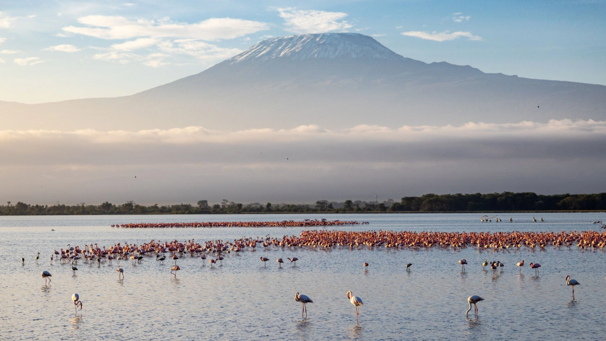 A&K Sanctuary Tanzania and Kenya Wildlife Safari