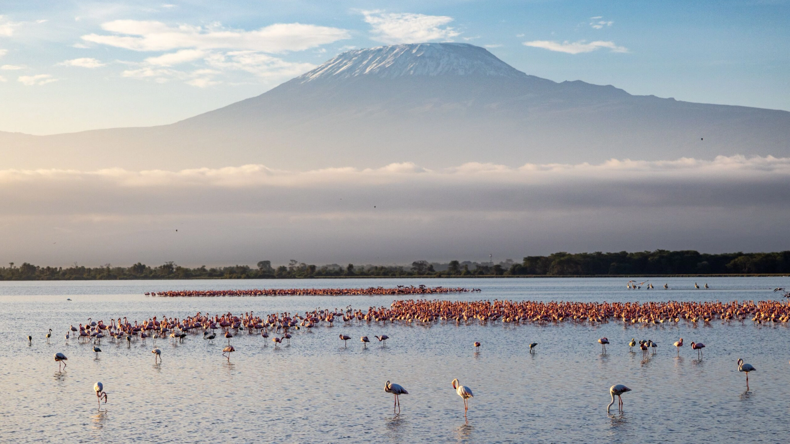 Worldway Travels x A&K Sanctuary Tanzania and Kenya Wildlife Safari