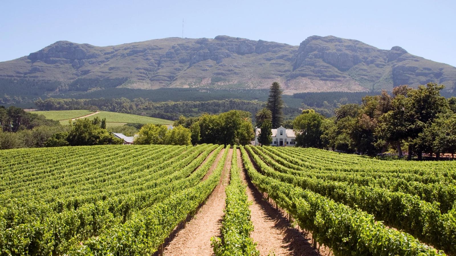 Ultimate South Africa Adventure