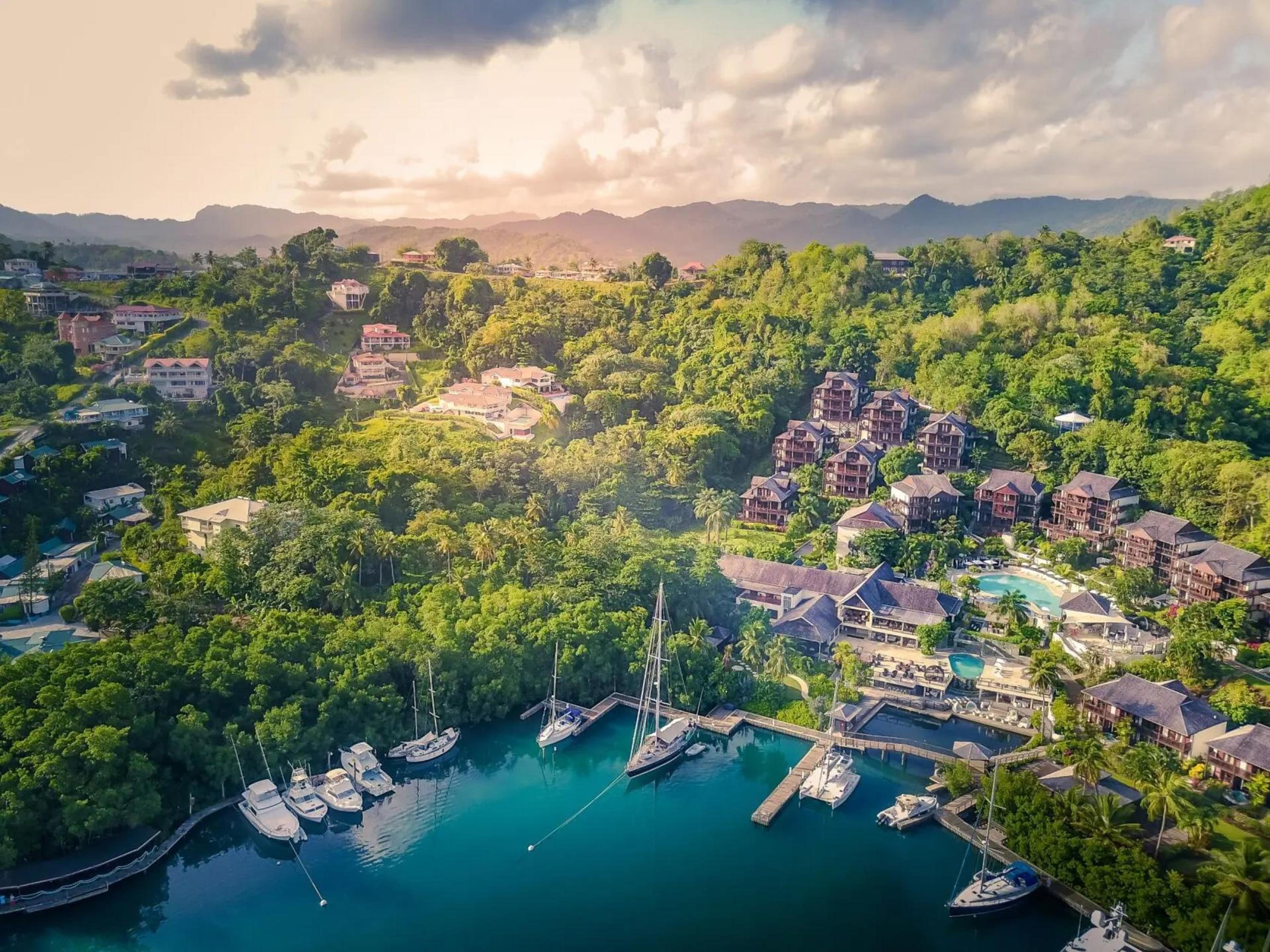 The Caribbean