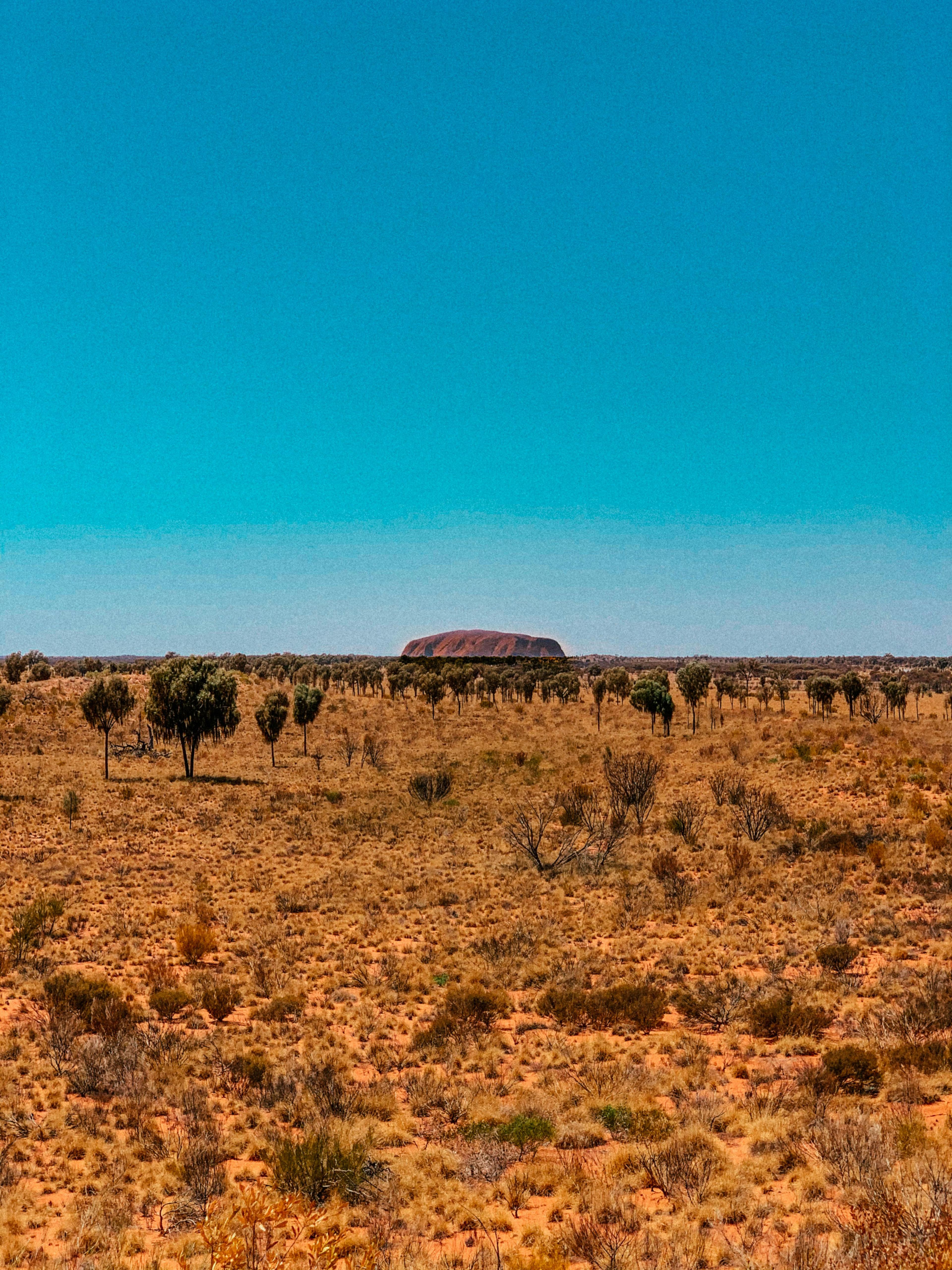 Uluru