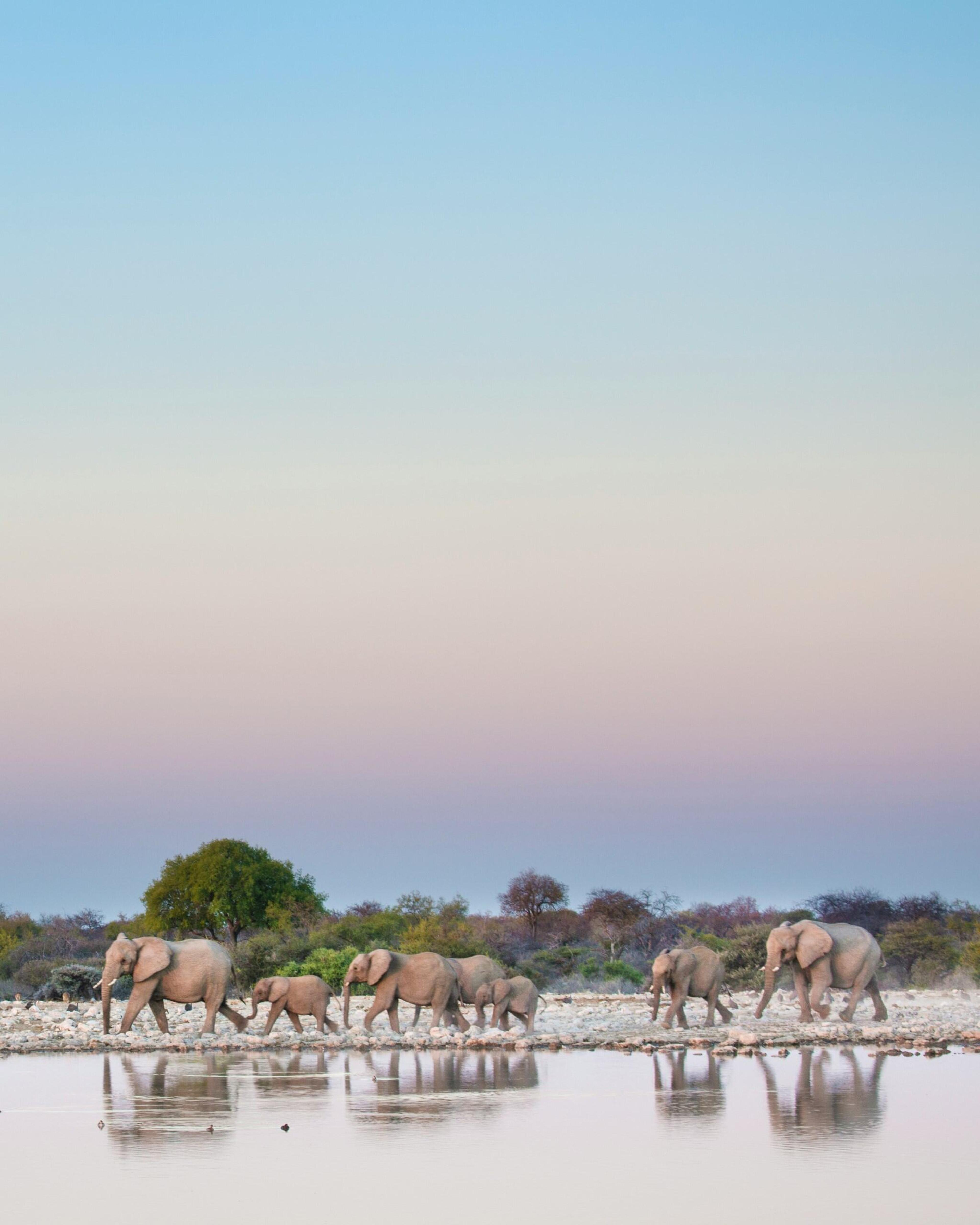 Zambia