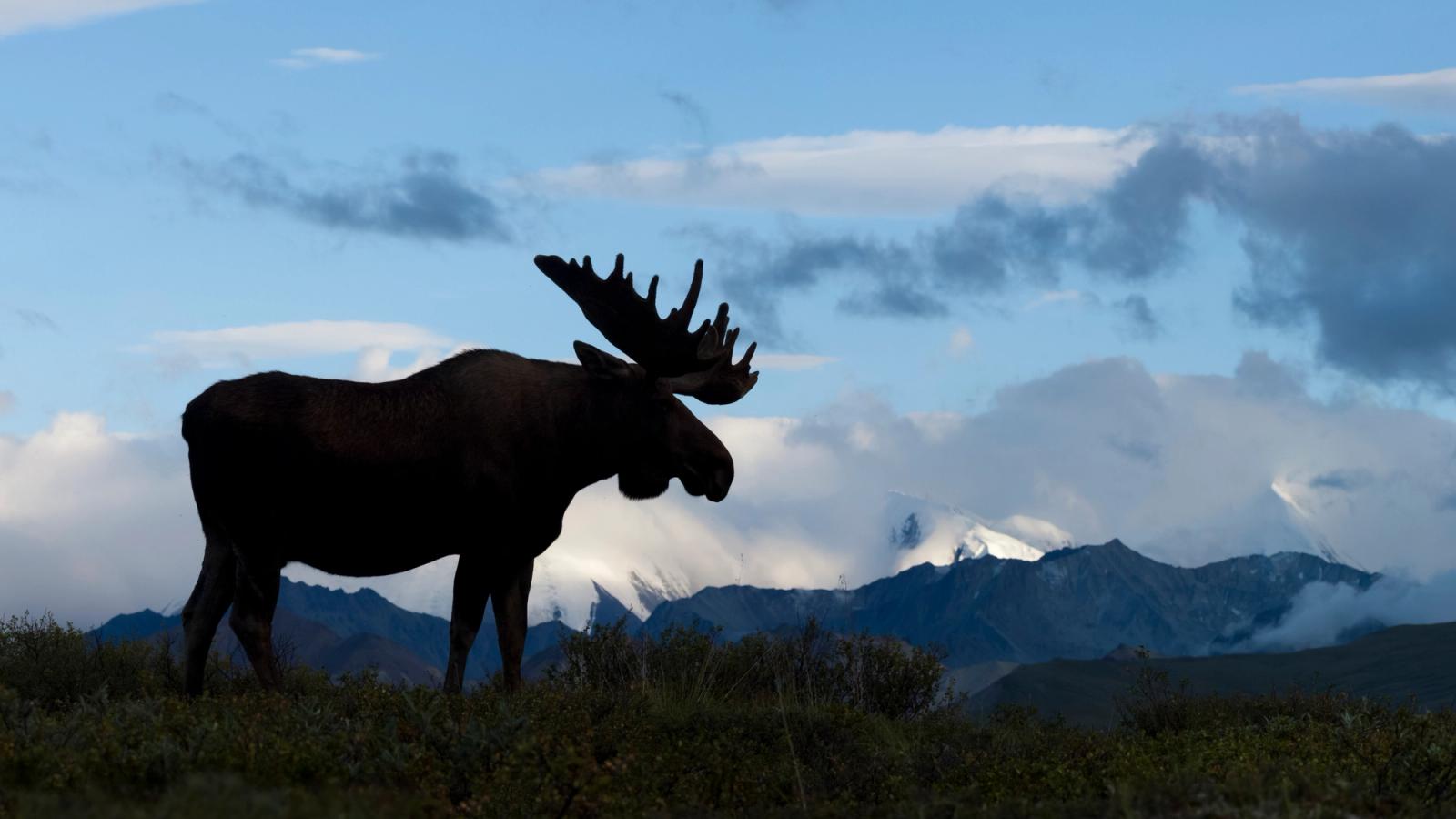 Family Adventure in Alaska