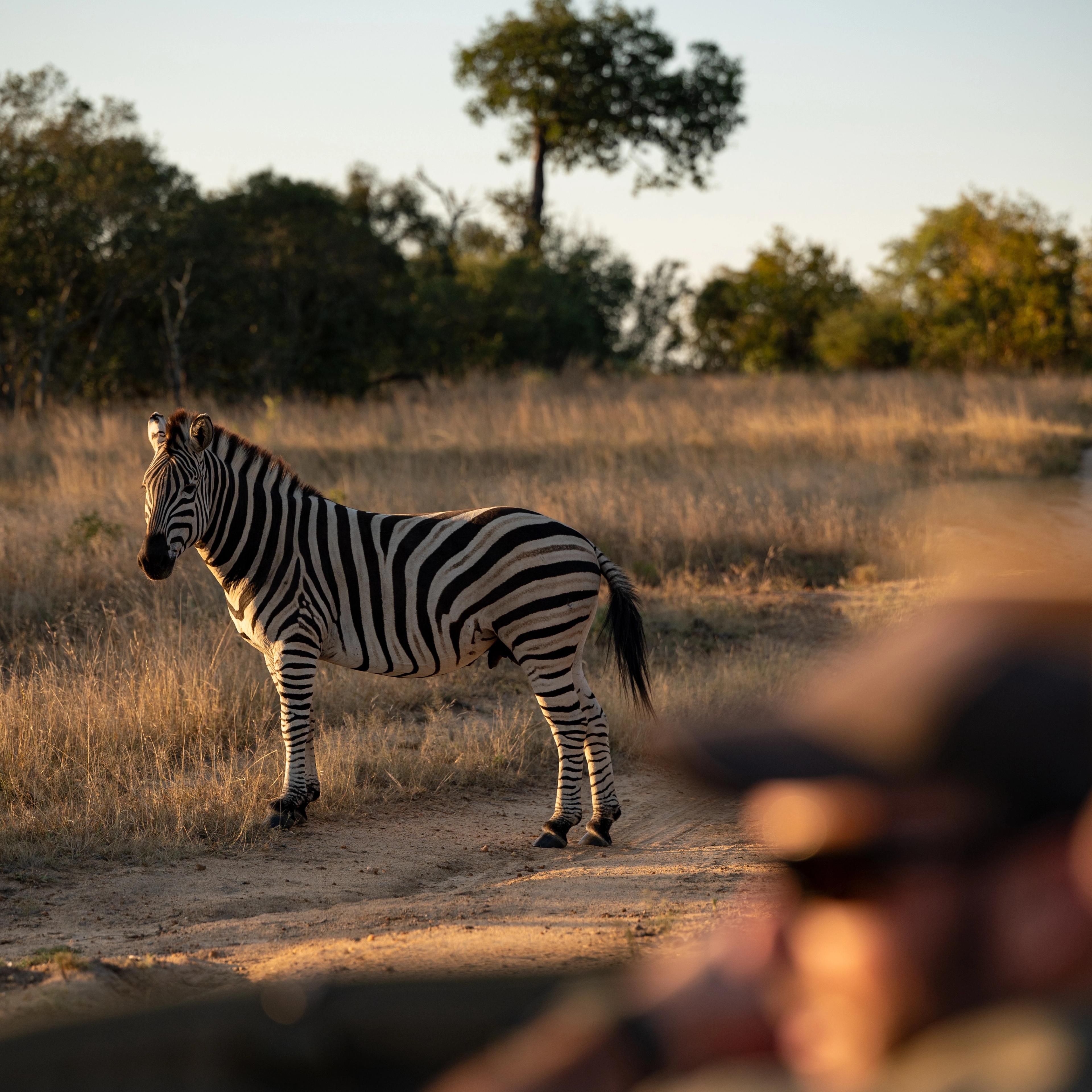 abercrombie kent africa