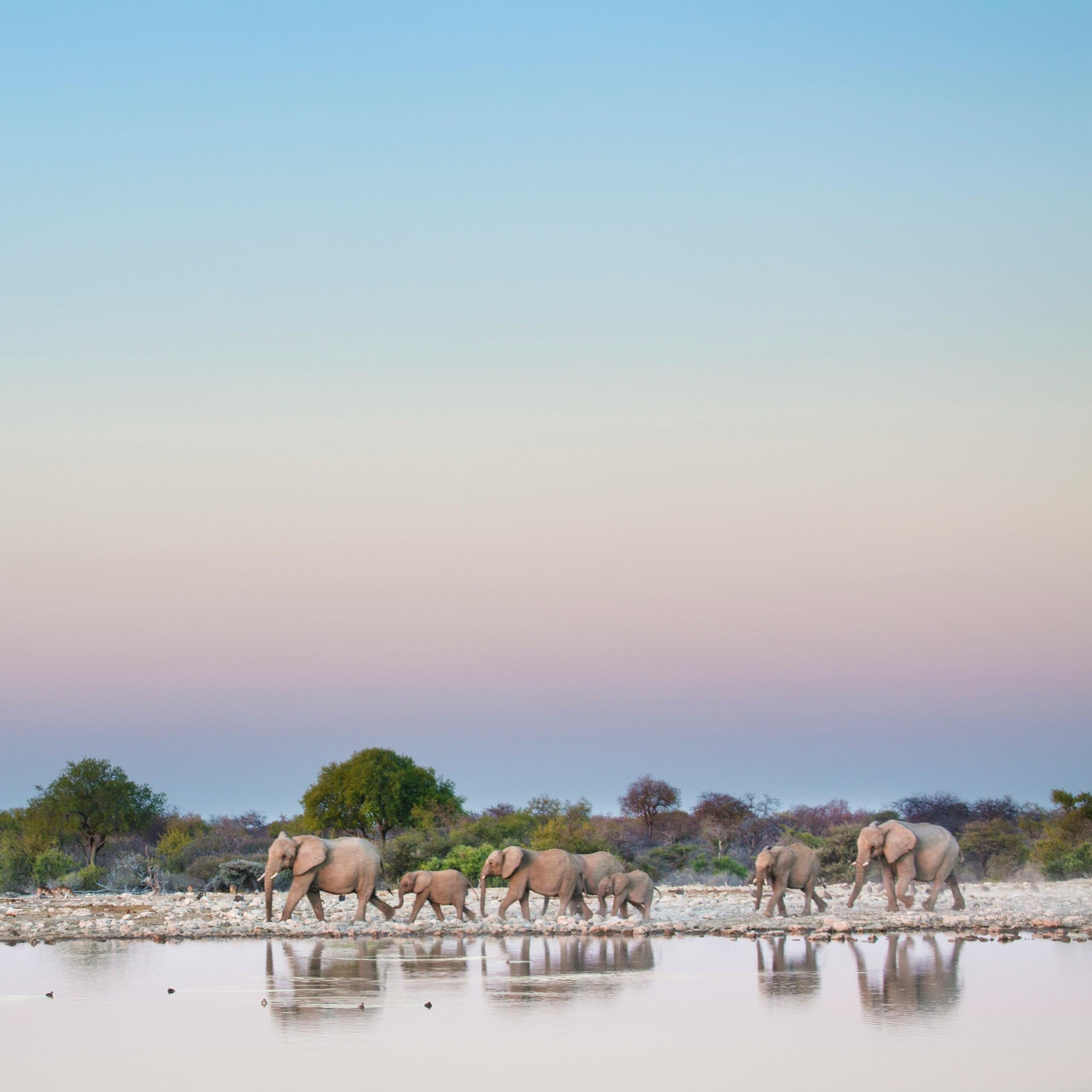 zambia