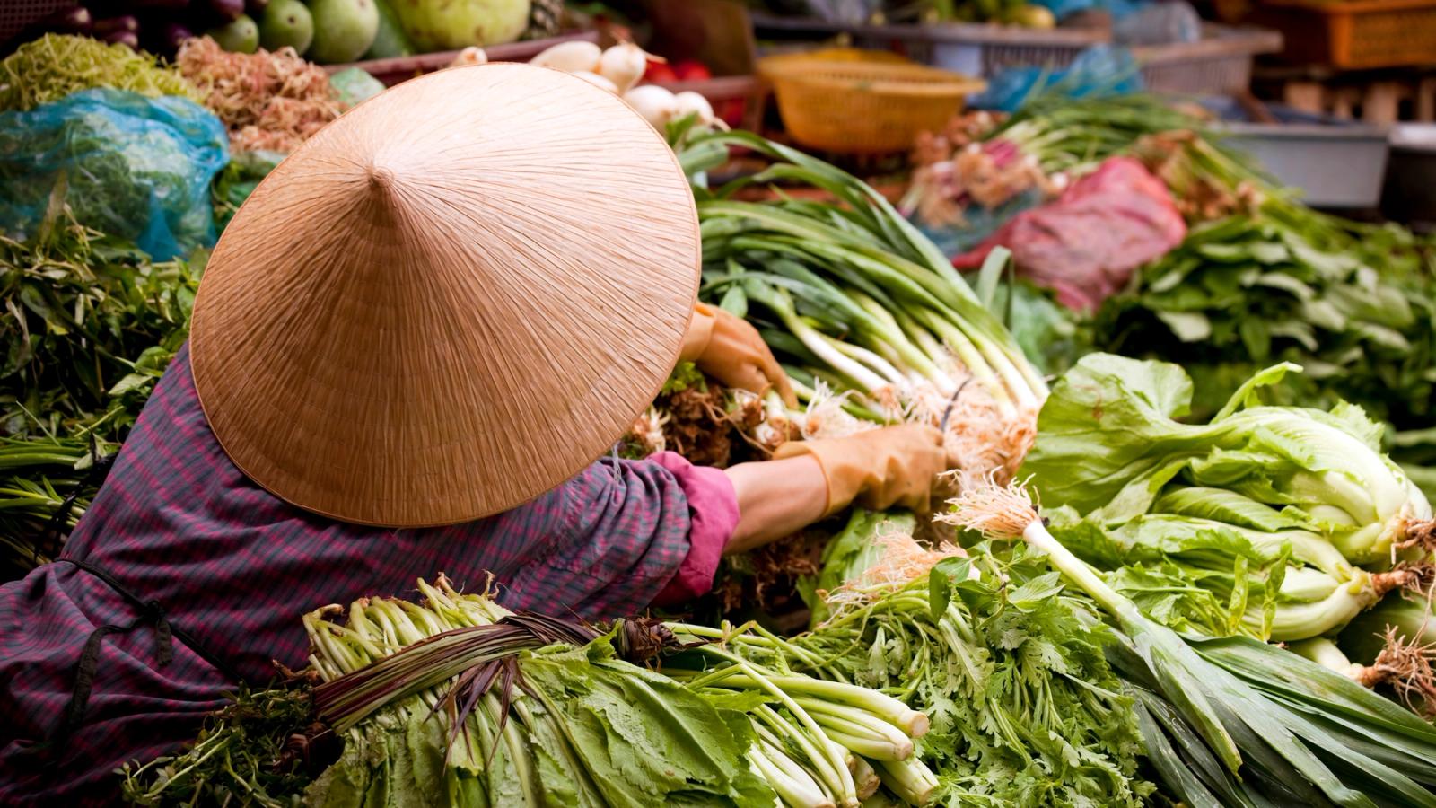 Vietnam: Cultural and Culinary Adventure