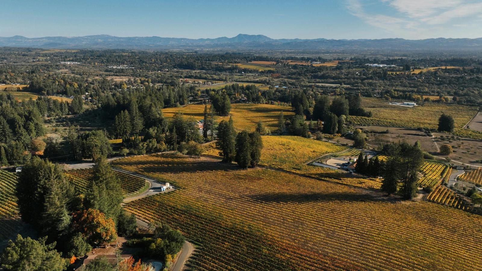 Sonoma: A Culinary Adventure