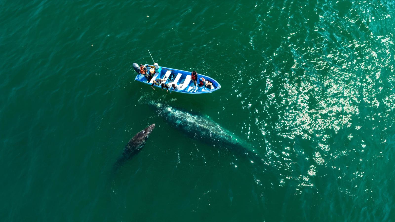 Mexico by Private Jet