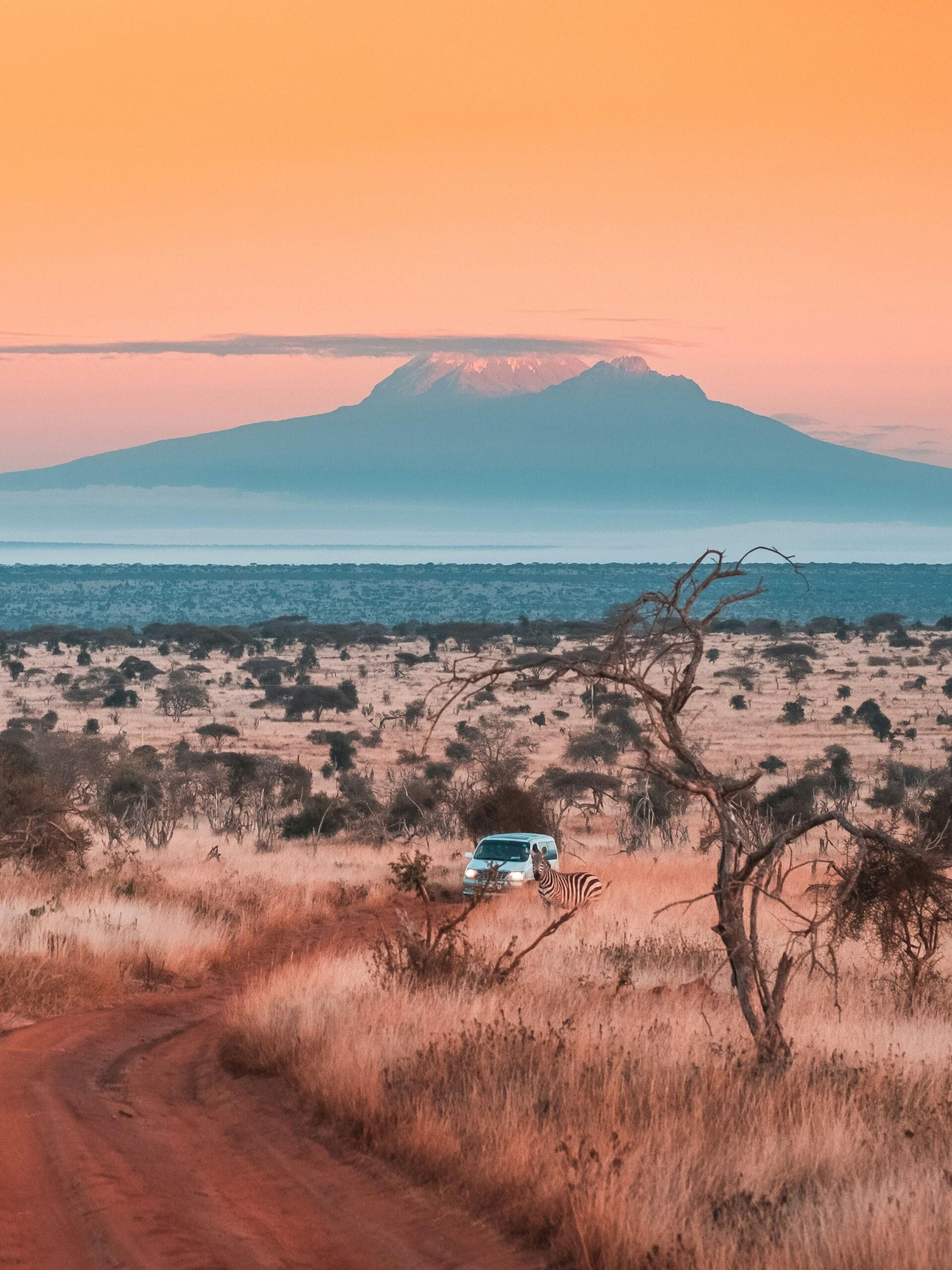 kilimanjaro