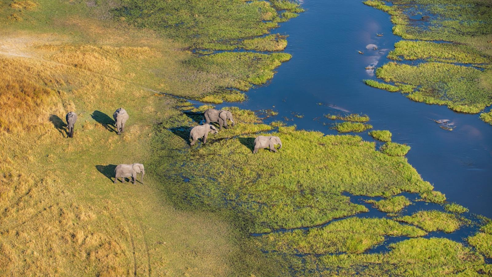 Southern Africa Safari by Train