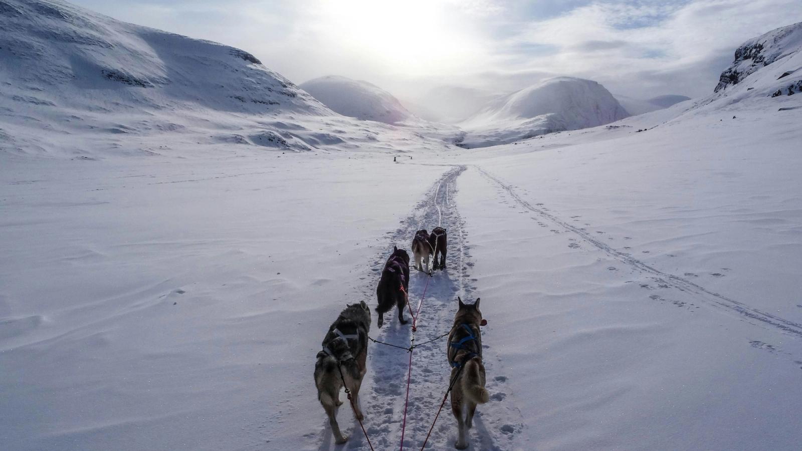 Finland and Sweden: Adventures in Lapland
