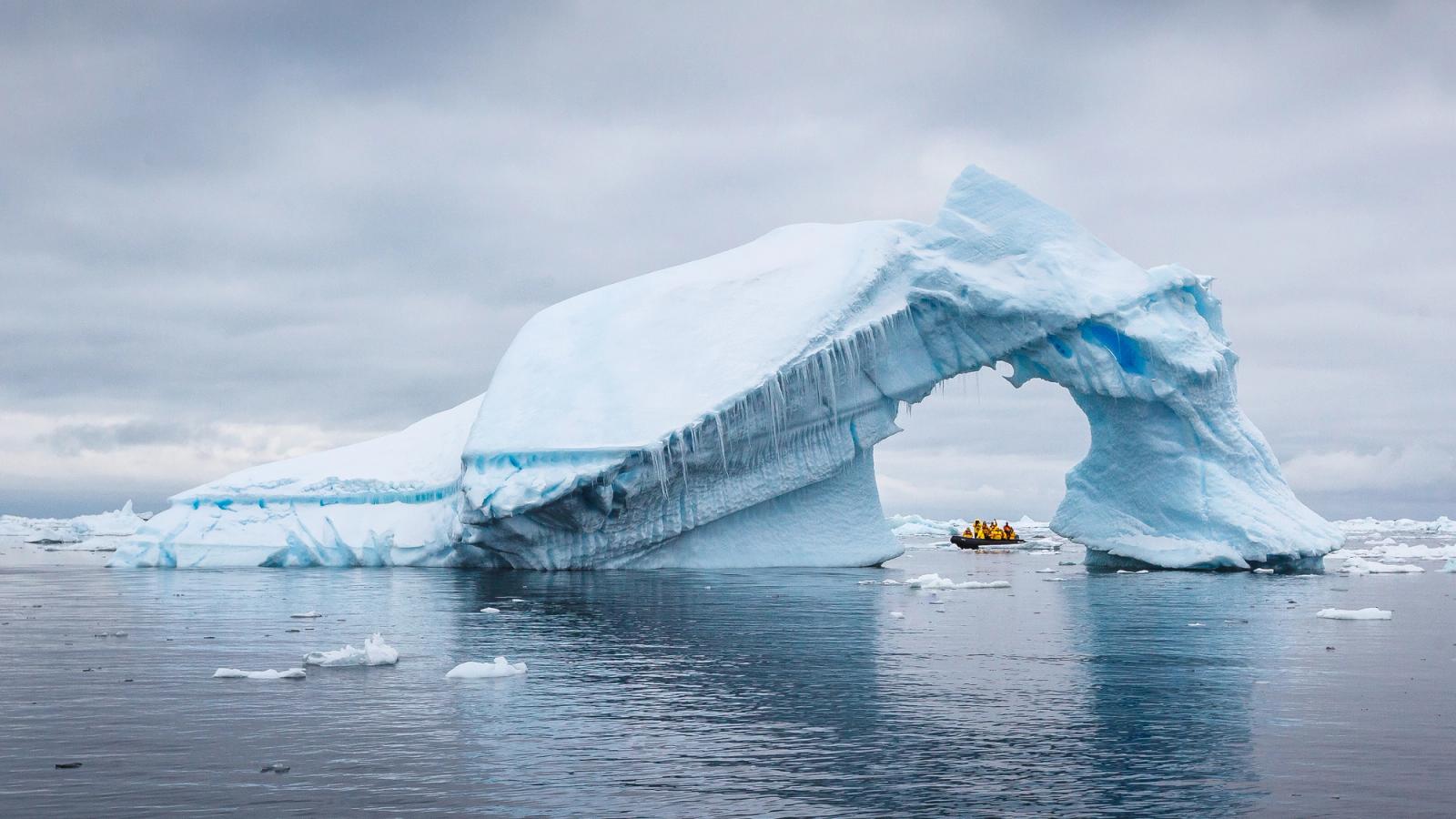 Antarctica, South Georgia and Falklands: Holiday Voyage