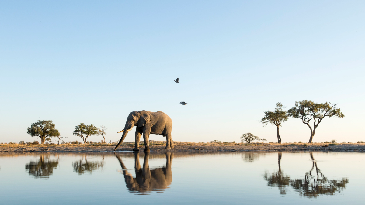 A&K Sanctuary Botswana Safari