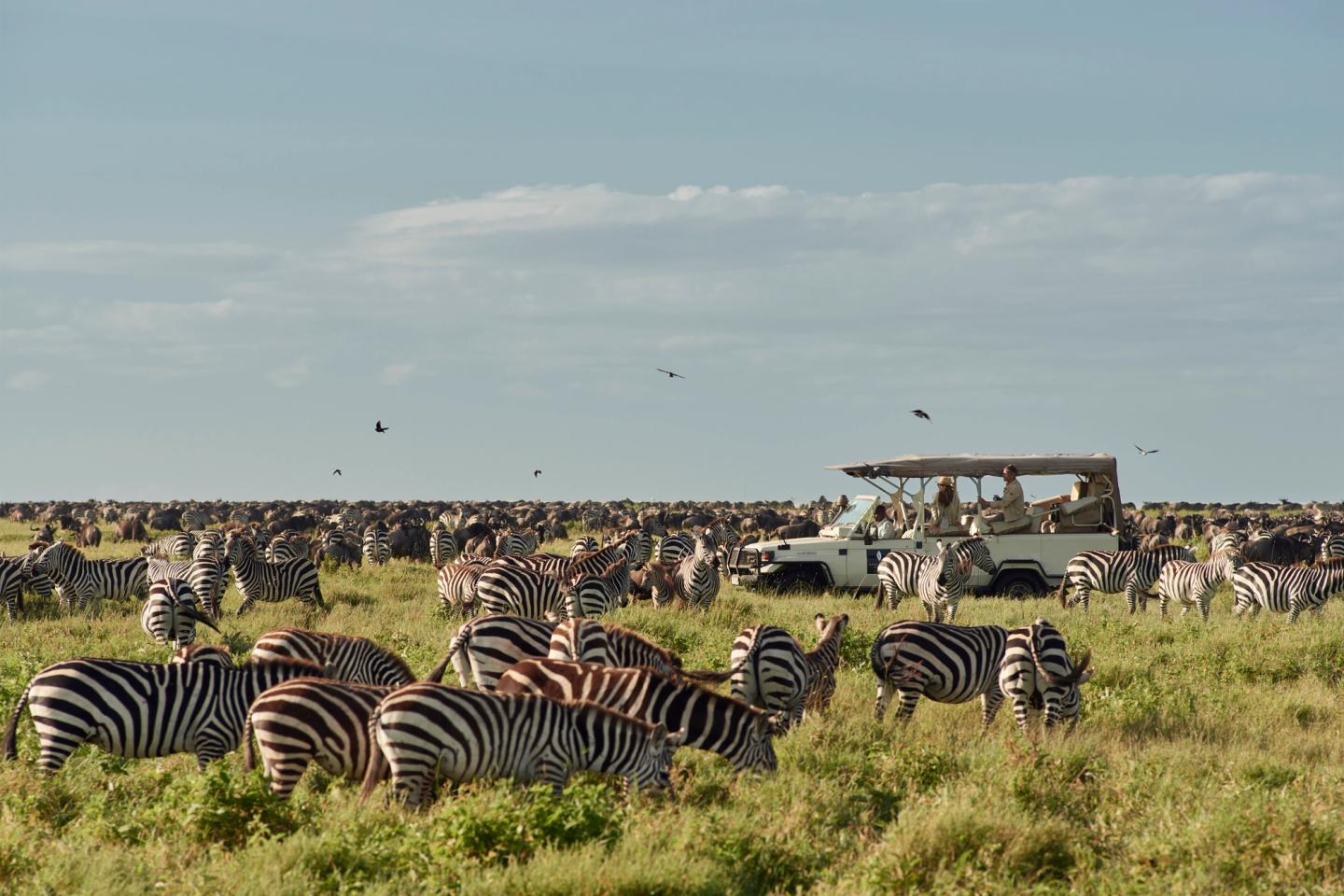 stay F74a48b55583e0fe78cac931647ec23a1aad039a 7360x4906