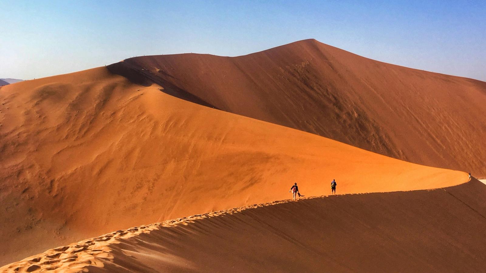 A Desert Safari in Namibia
